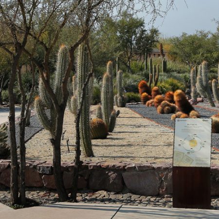 La plaza que viene